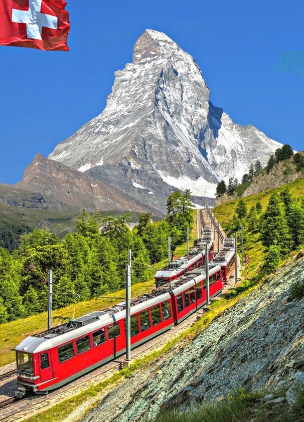 🔴💊 tweet media