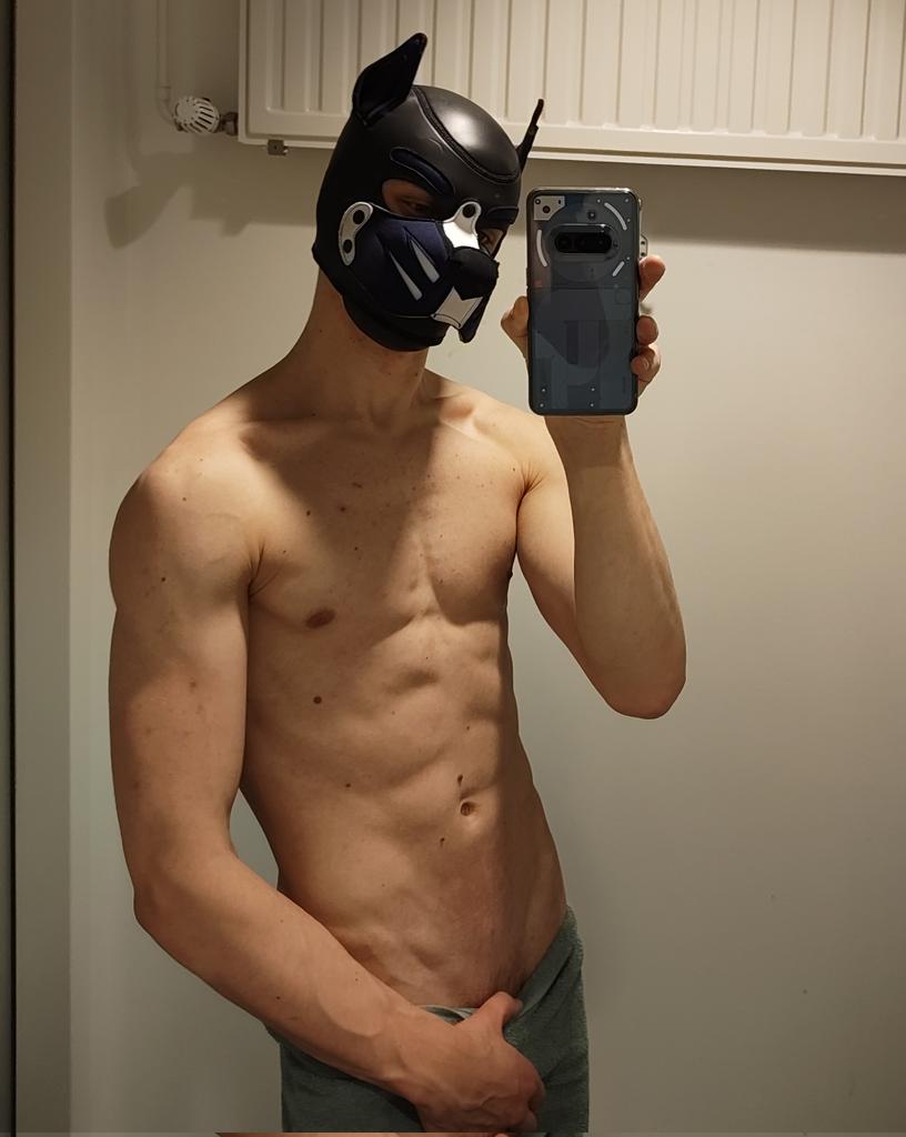 Pup Dutch 🔜 🇬🇧Animalz tweet media