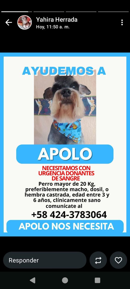 Carolina tweet media