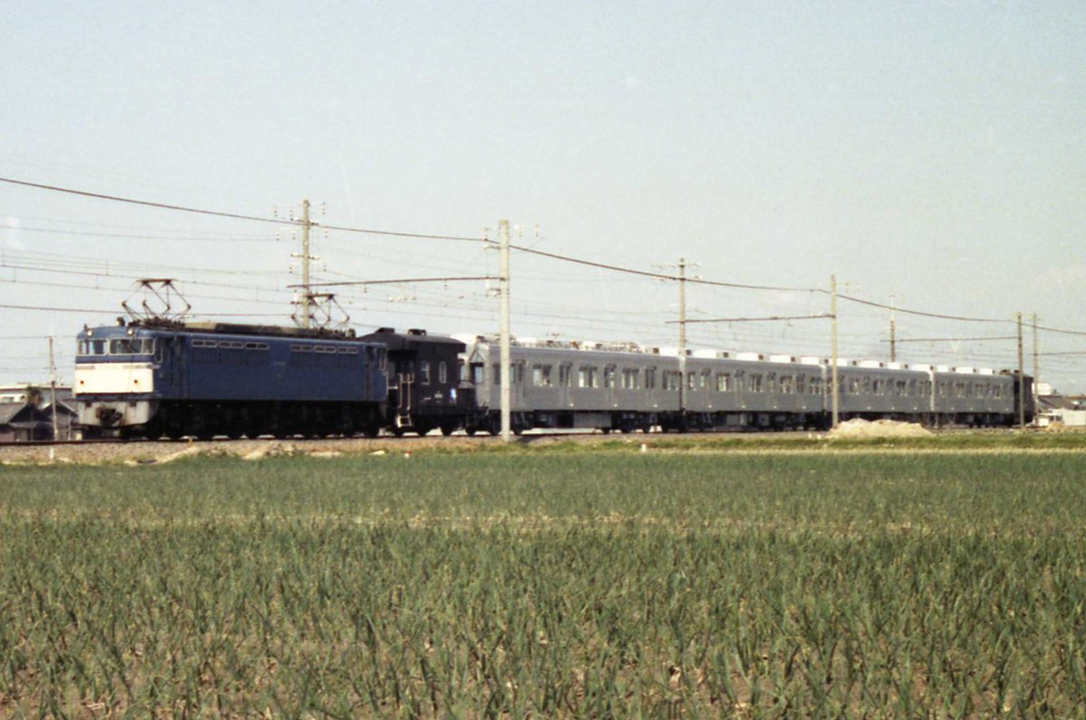 あぐかま tweet media