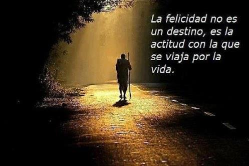 Raúl A. Casanova-Ostos tweet media