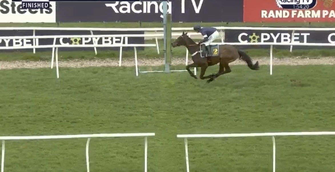 the racing newsletter tweet media