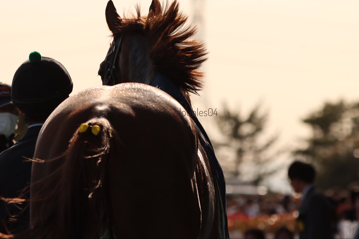 さや@04 tweet media