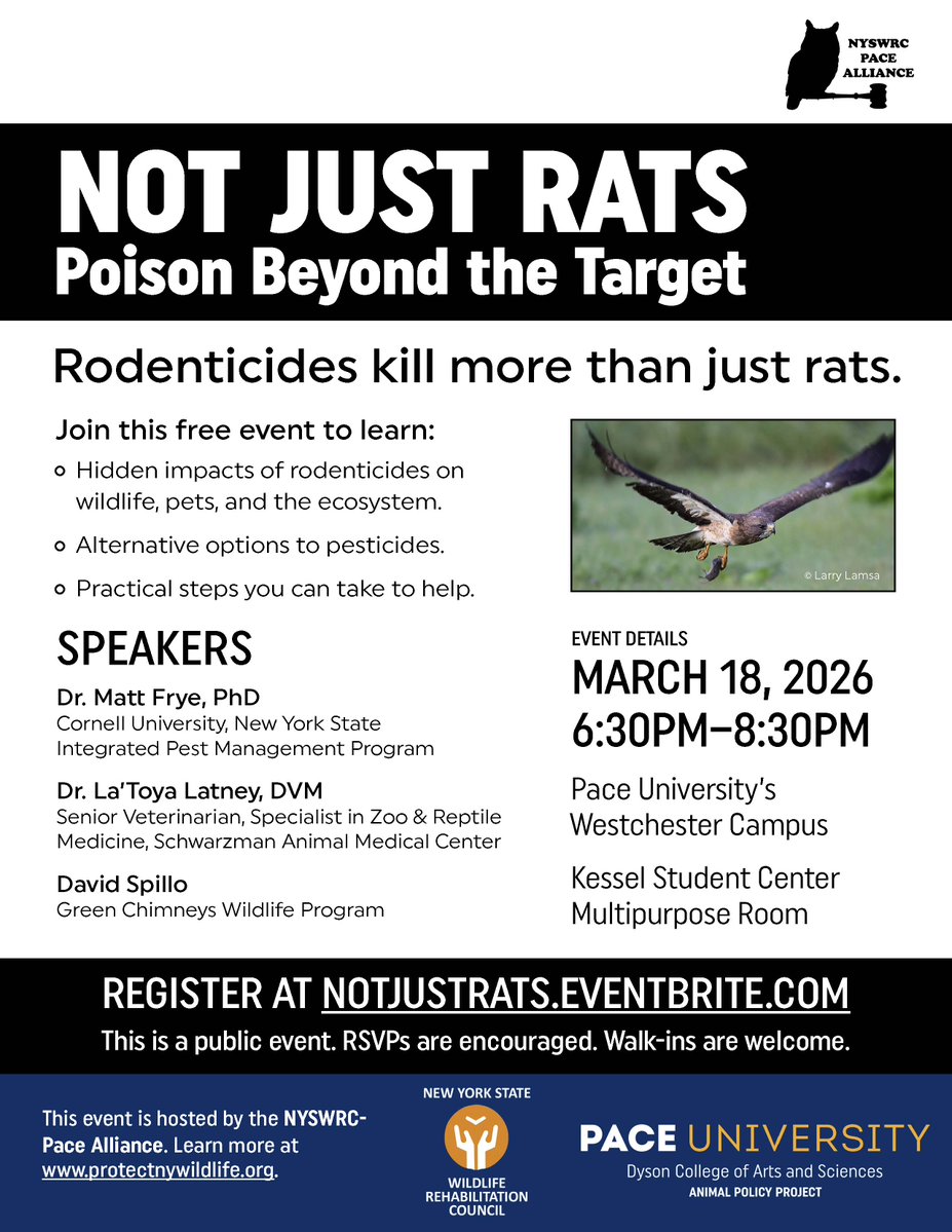 Dyson College of Arts and Sciences tweet media