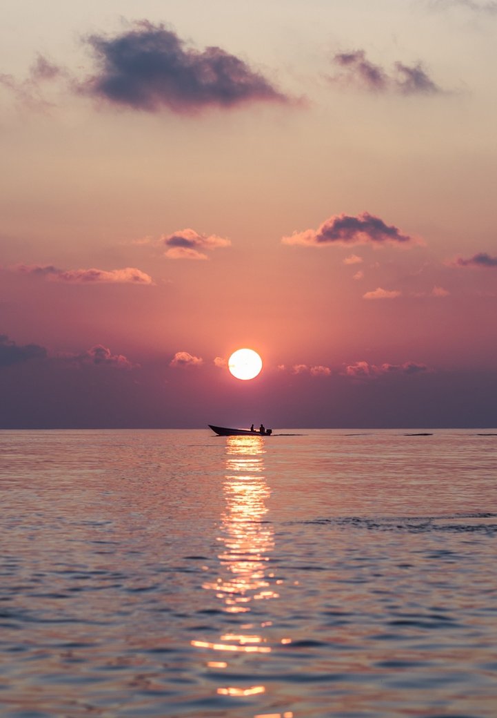 しゅん tweet media