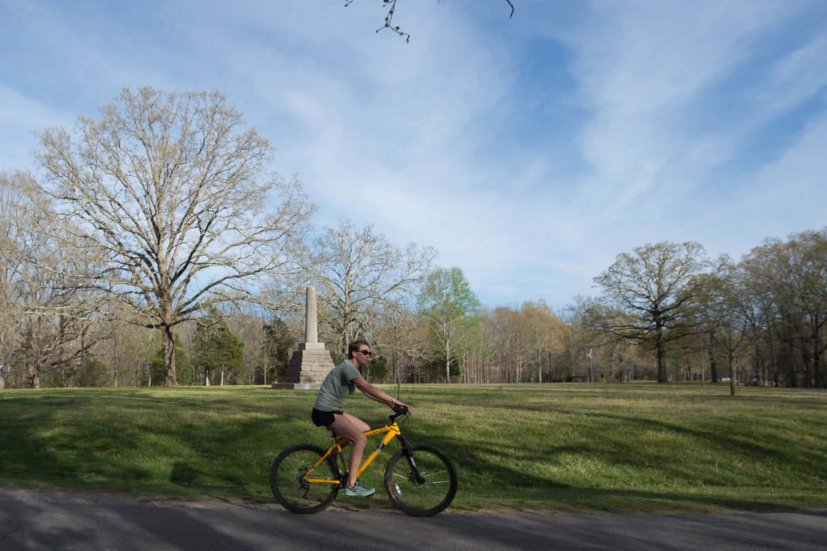 TheNatchezTrace's tweet photo. 🚗🌿 Planning your next adventure on the Natchez Trace? Check out our blog for trip inspiration, insider tips, and the latest updates! 💚  Discover hidden gems, scenic stops, and can’t-miss events along the Parkway. 
https://t.co/vl1sZPz5hU
#ExploreTheTrace #NatchezTraceBlog https://t.co/fDb9ly8wqG
