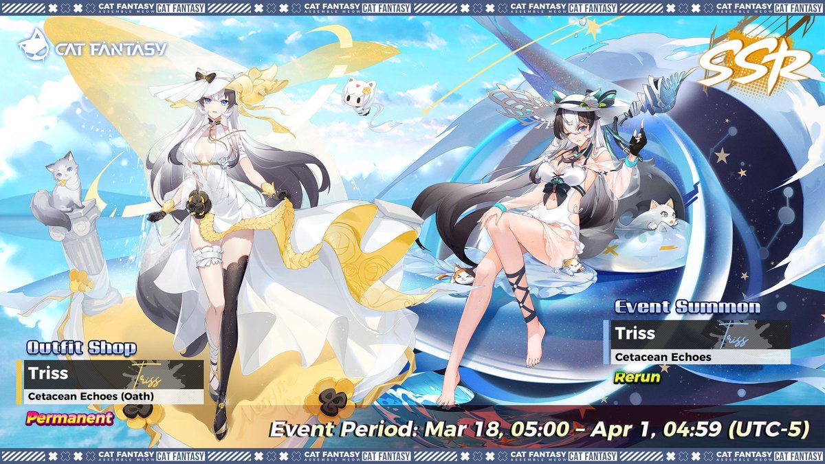 Cat Fantasy EN tweet media