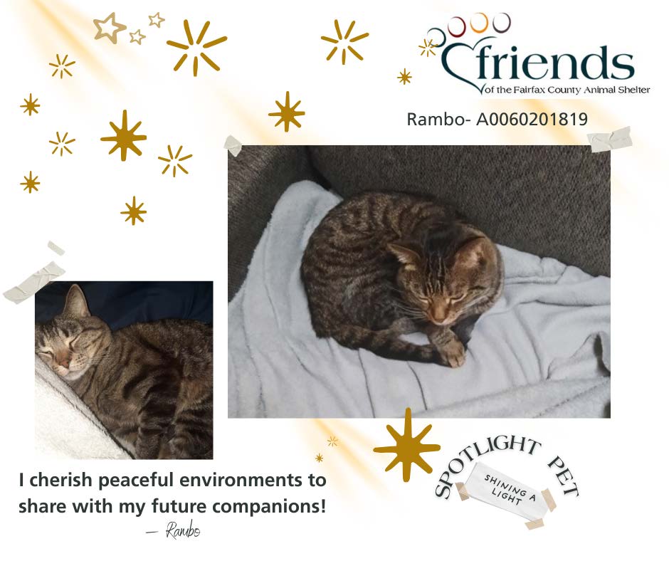 Casey Whitmarsh tweet media