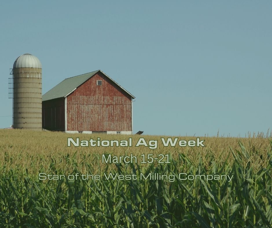 Star of the West tweet media