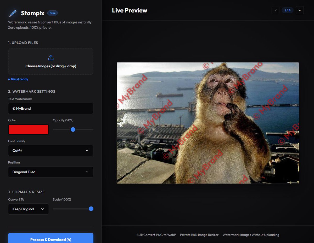 Manvith Kotian tweet media