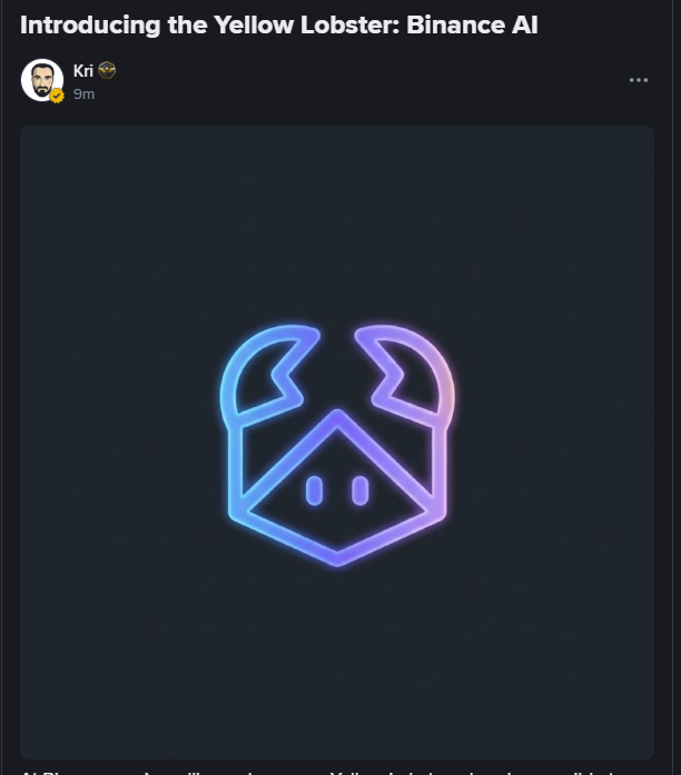 developer tweet media