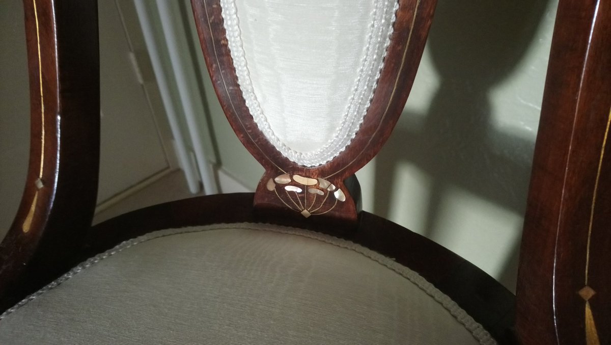 MEFDeBock tweet media