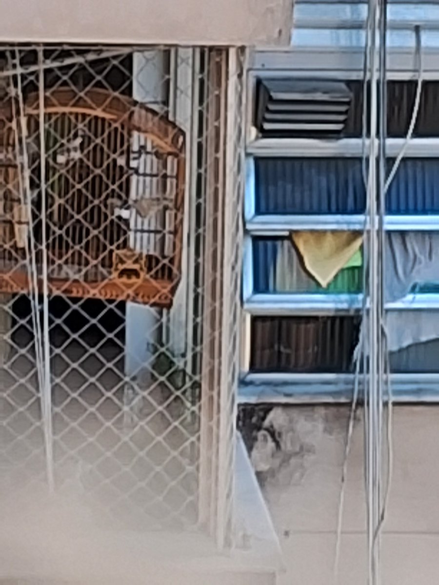 Fernando Guida tweet media