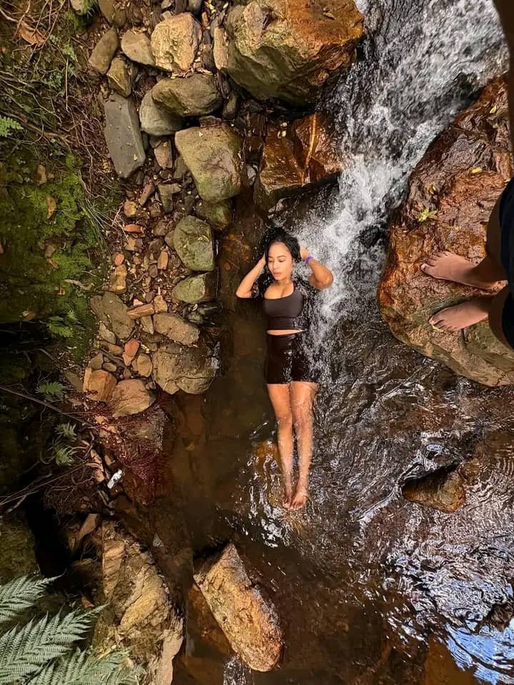 Dandaro Online tweet media