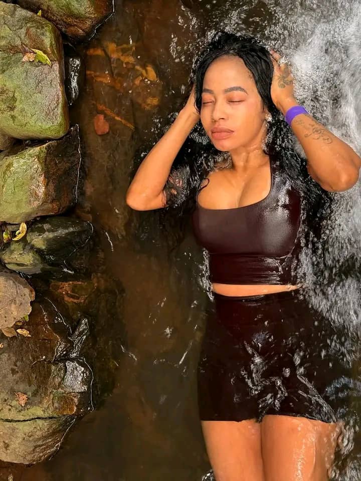 Dandaro Online tweet media