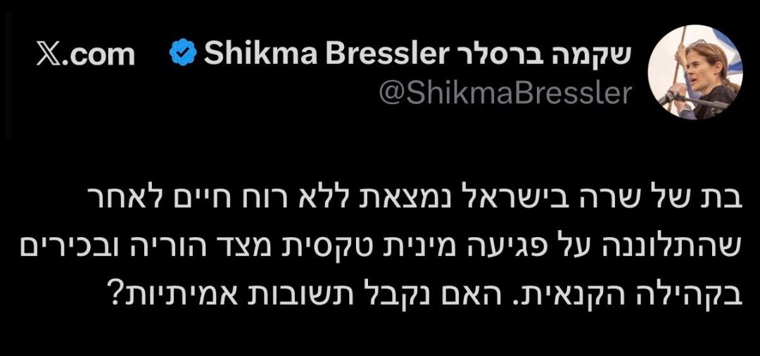 noamfathi tweet media