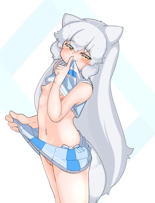 チア服ホきつねさんです 