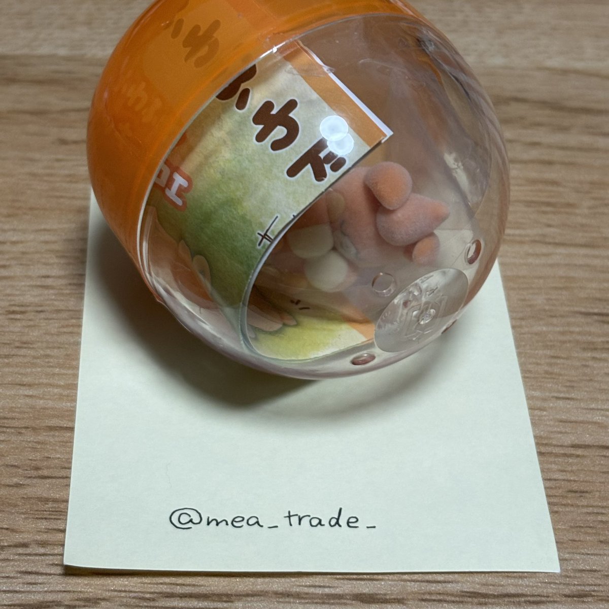 めあ交換垢 tweet media
