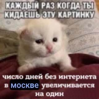 К И Б Е Р Ж Р И Ц А tweet media