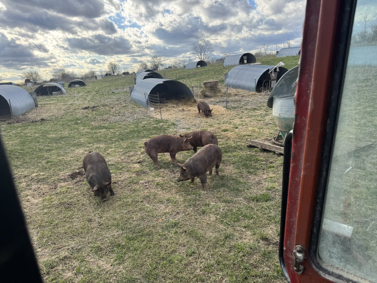 Greg Gunthorp tweet media