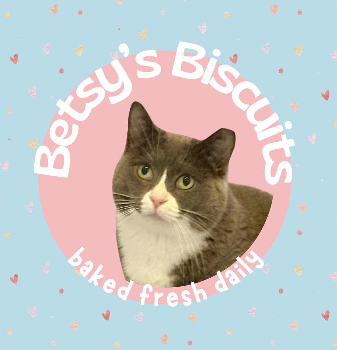 The Snoopervisor 2.0 /Moses (Wilma🌈) tweet media