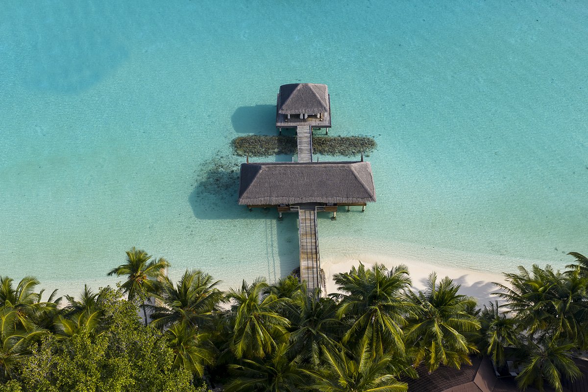 Niva_Kuramathi's tweet photo. Massages, facials, body treatments, and multi-day retreats. Share overwater couples’ rituals and rediscover balance together.

#NivaKuramathiMaldives #YourIslandOfChoice #MomentsThatStay #PerfectEscape #VisitMaldives #SpaEscape #SelfCare #Relaxation #Wellbeing #SpaTreatment https://t.co/GkKty2JsrU