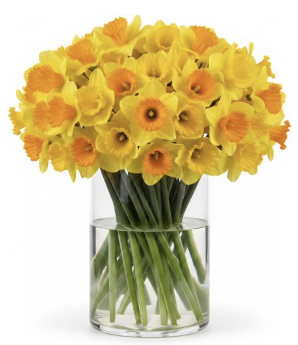 ThreadofGold1's tweet image. Remembering, as ever, on #MothersDay, all those children without their mums, and all the mums who have lost their precious children. Love and caring thoughts to you all ❤️#BecauseOfClem #ThreadOfGold💛