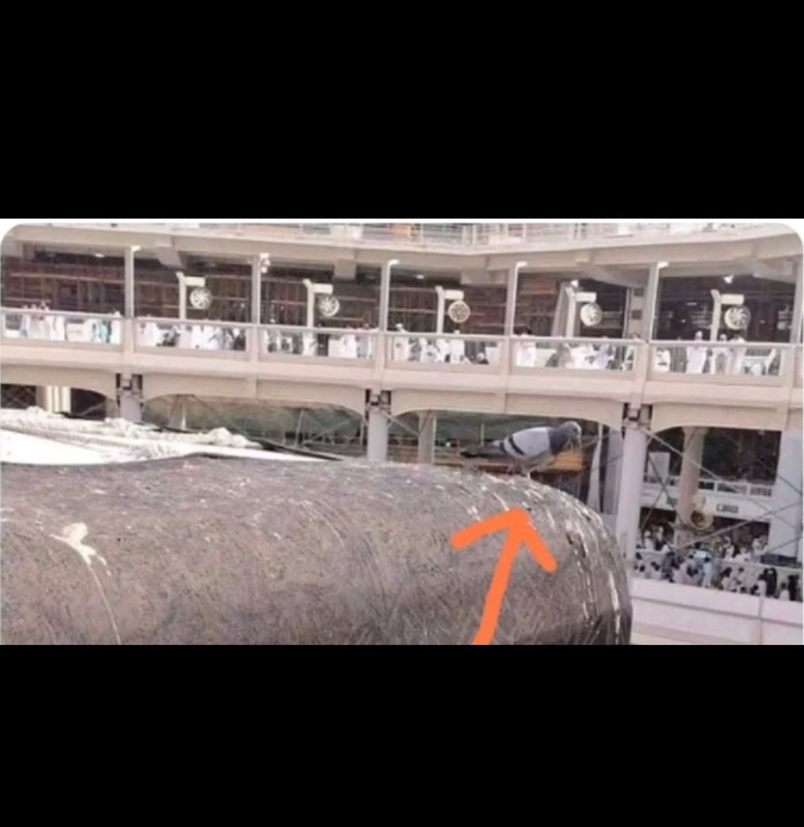 ☪︎ L’𝕚𝕟𝕔𝕣ée tweet media