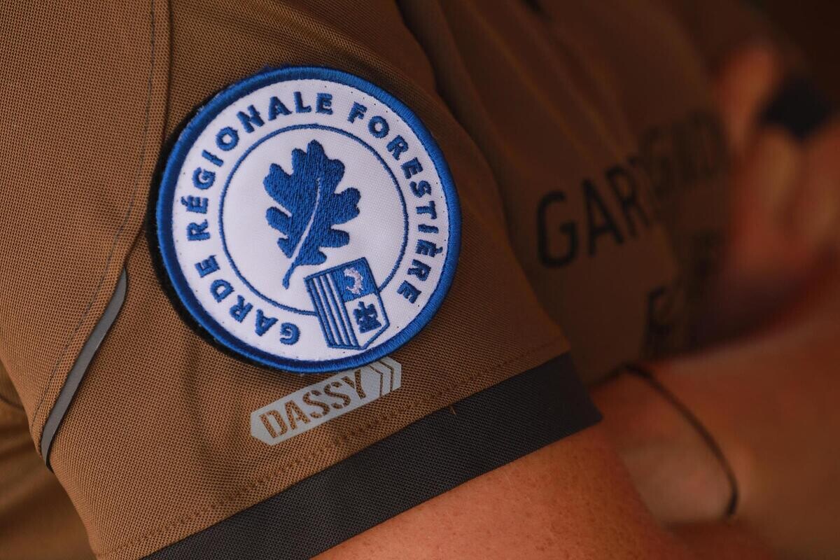 Dans toute la région Sud, 280 postes sont ouverts pour intégrer la Garde régionale. Sa mission est de sensibiliser à la protection de la nature.
👉 l.varmatin.com/9sT