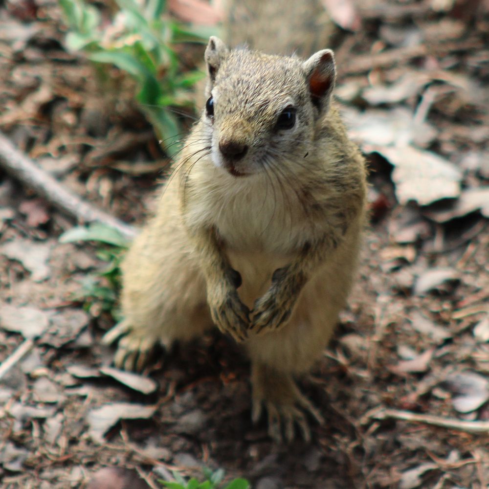 ShutterVista Photography tweet media