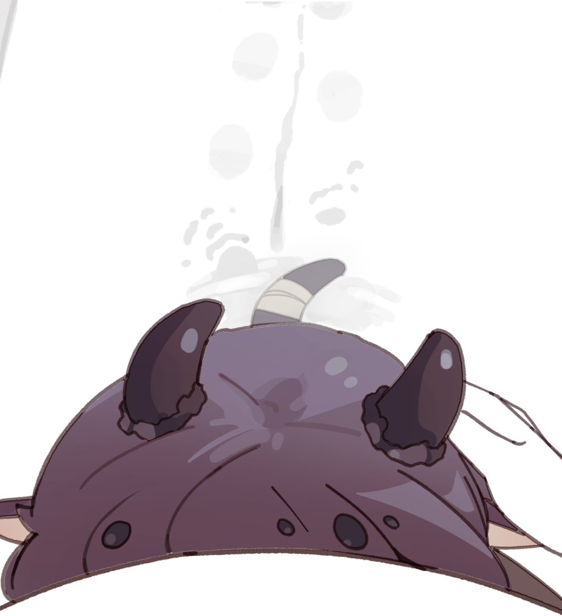 경비견 5월/일페 tweet media