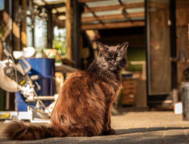 Jessica Moore tweet media