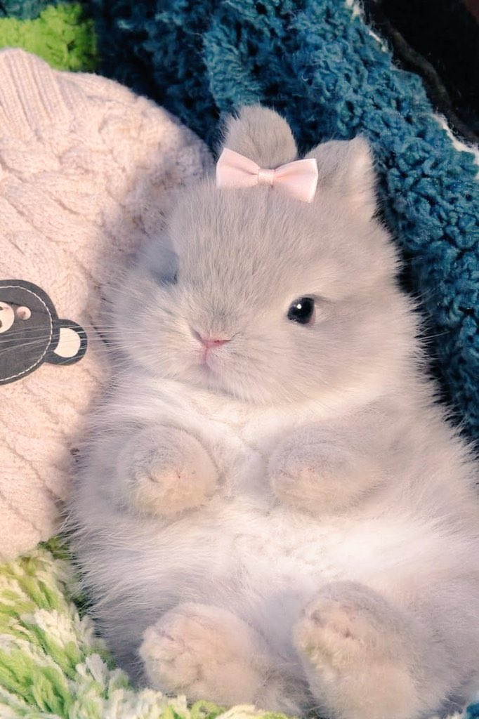 เหมือนโดยองเลย 🥺