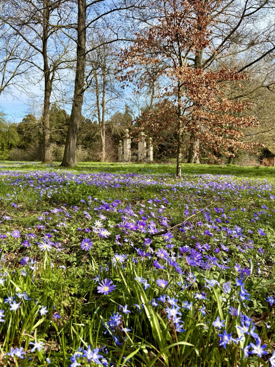 Kate North tweet media