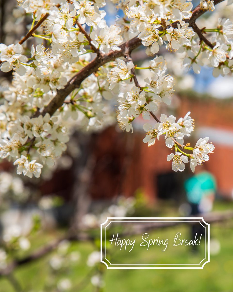 Roxbury CC tweet media