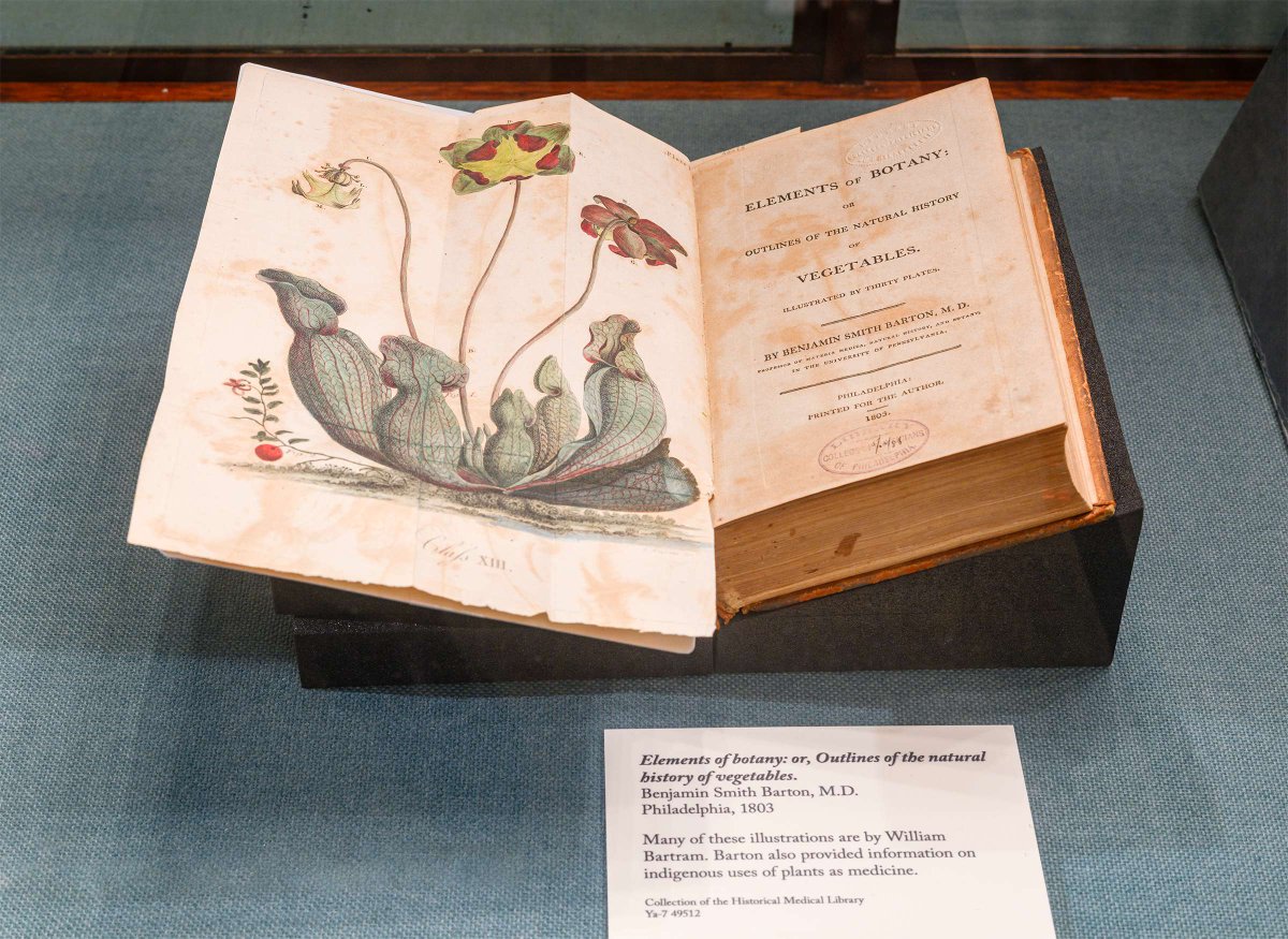 Mütter Museum tweet media