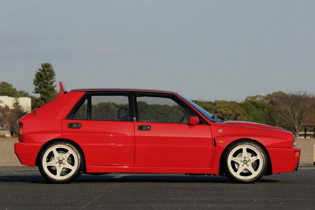 Fran Rodríguez tweet media