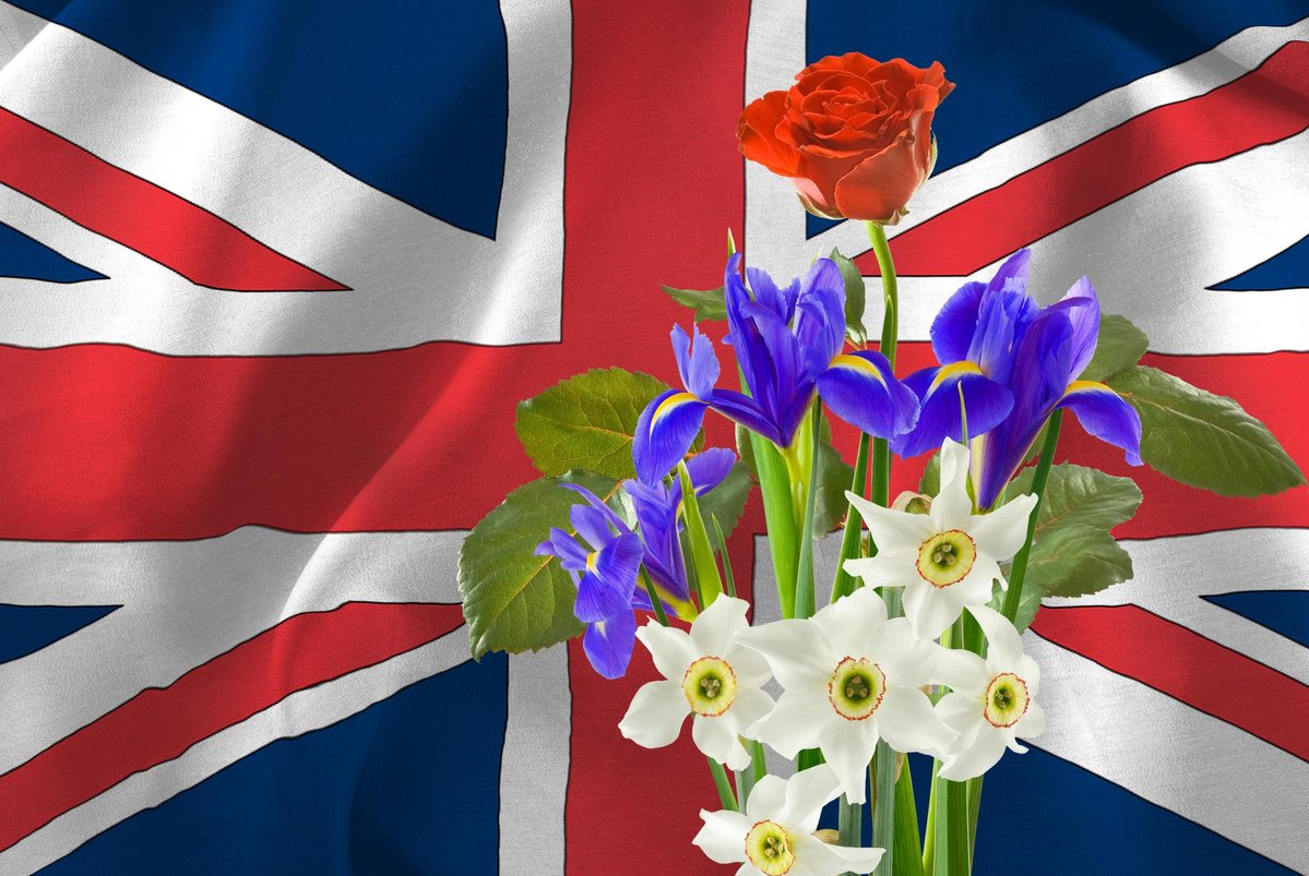 TheEverydayBrit's tweet image. Happy Mothers Day to all the Mums out there 👍
#HappyMothersDay #MothersDay #MotheringSunday