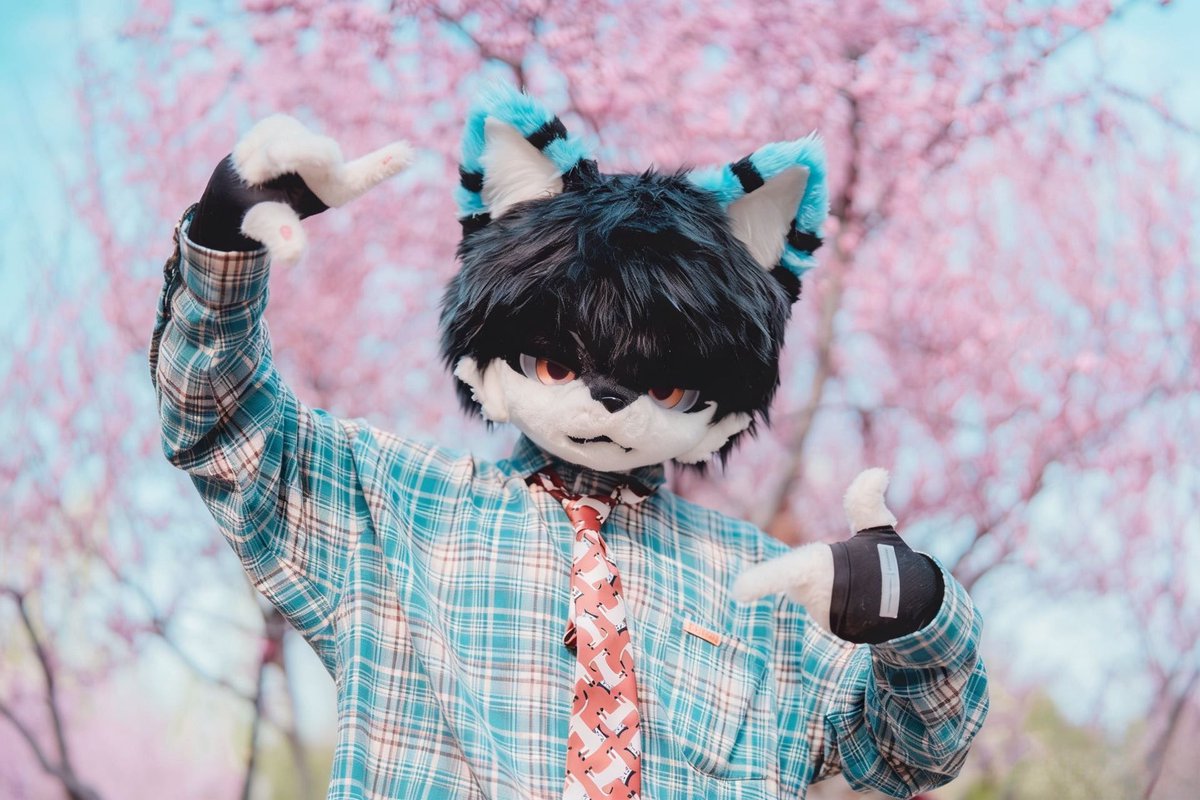 #FursuitEverday 
“我喜欢春天的樱花，夏天的矢车菊，
秋天的百里香，冬天的腊梅，还有每天的你”
📷：@青衿思