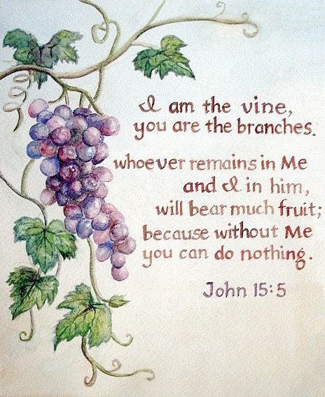 Brooke_StJames's tweet photo. Happy Sunday! https://t.co/QiVETgfTzr