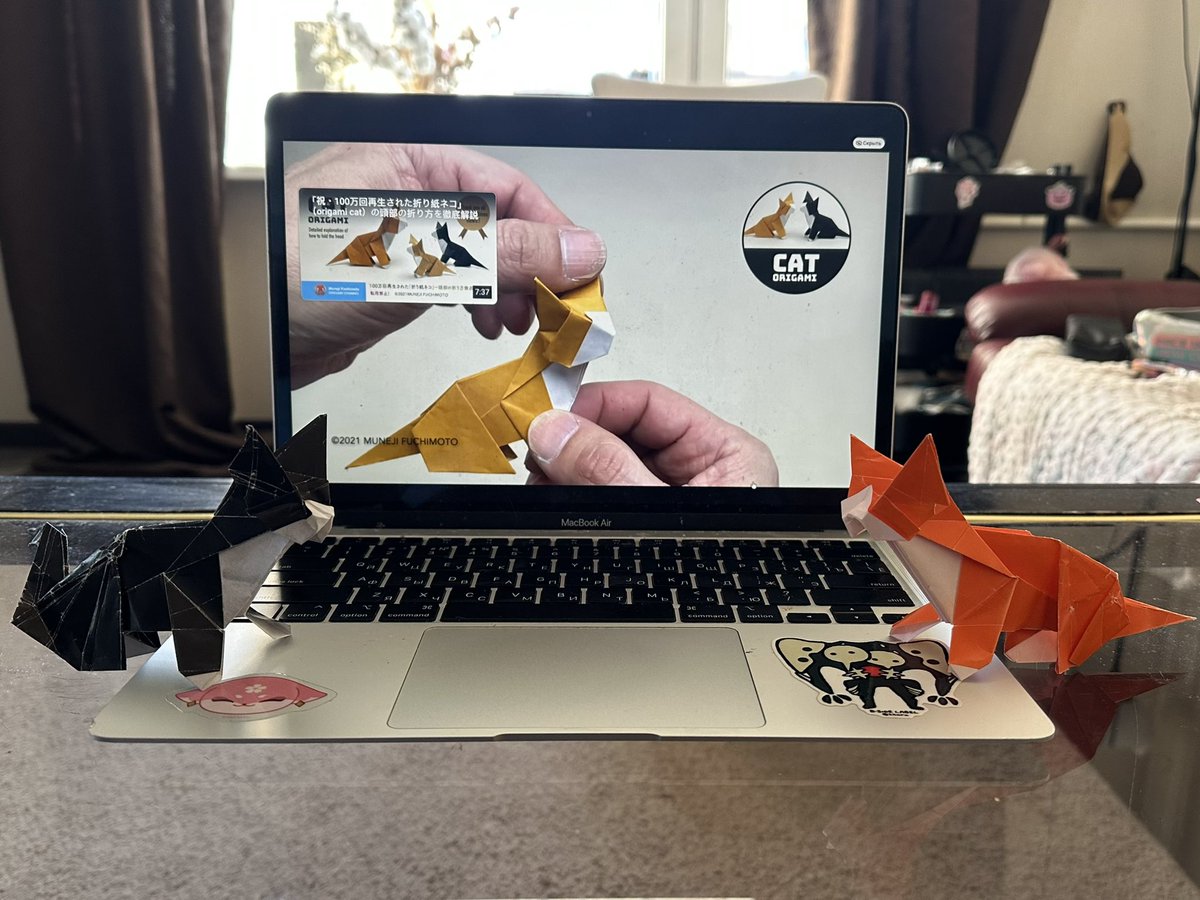 бимбо пропаганда tweet media