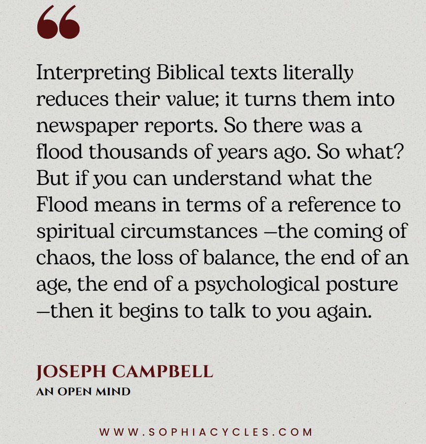 Béa Gonzalez (sophiacycles) tweet media