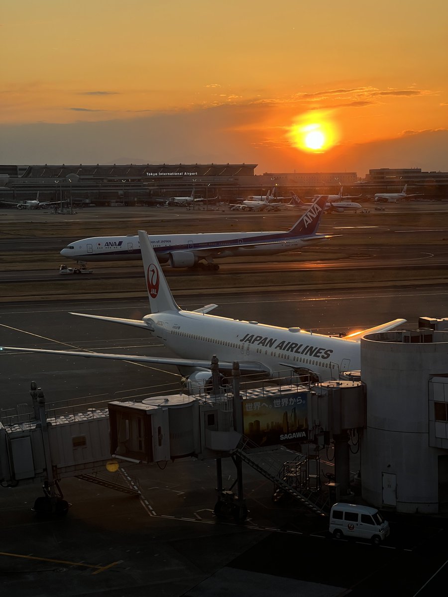 こいけ tweet media