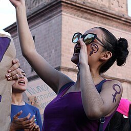 Revista Stultifera tweet media