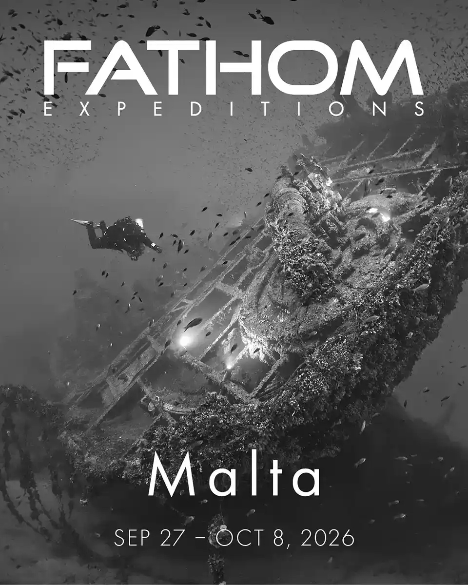 InDEPTH Magazine tweet media