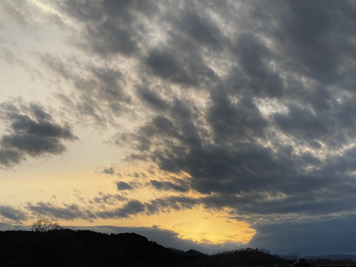 おっこ tweet media