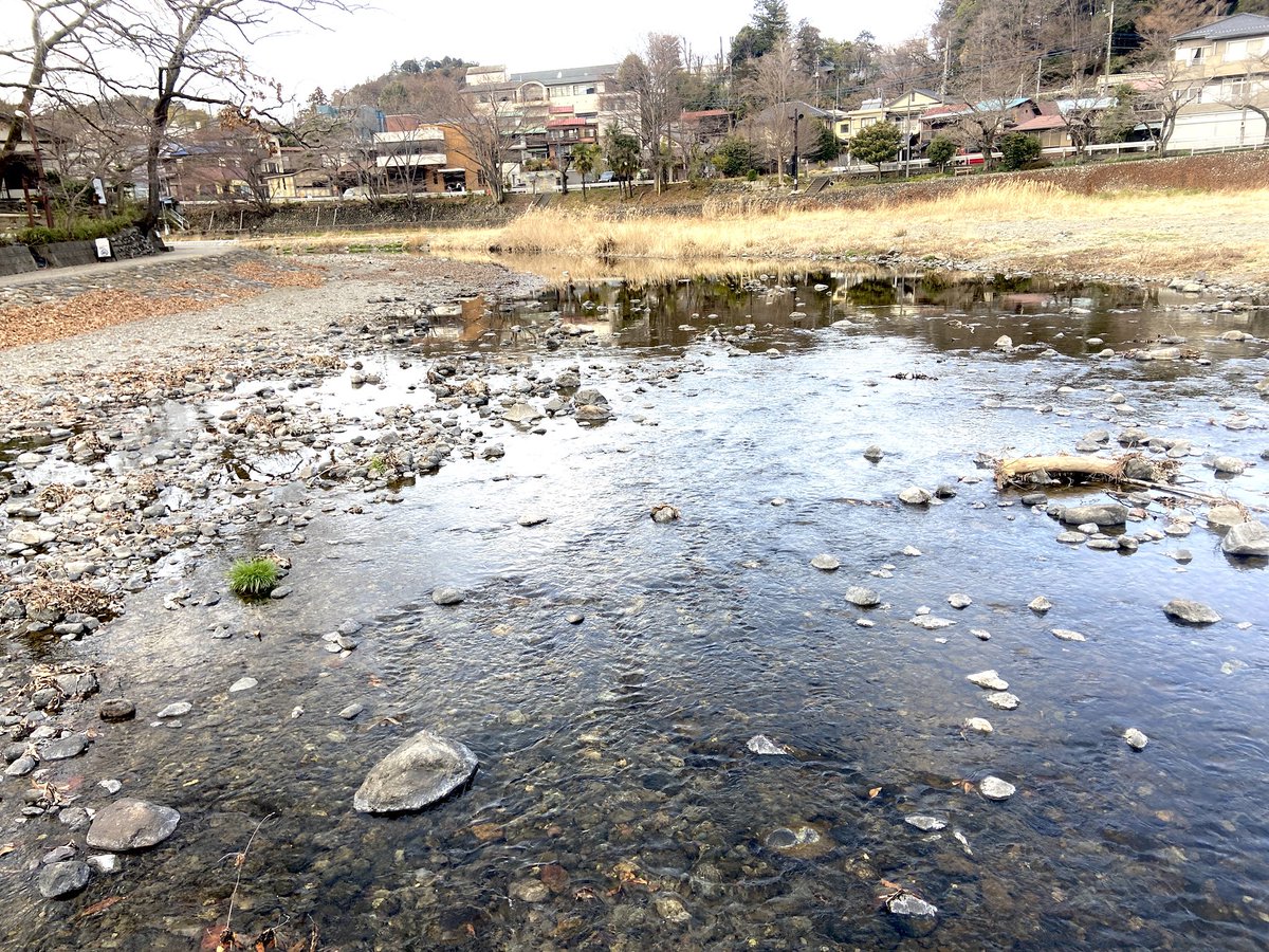 おっこ tweet media