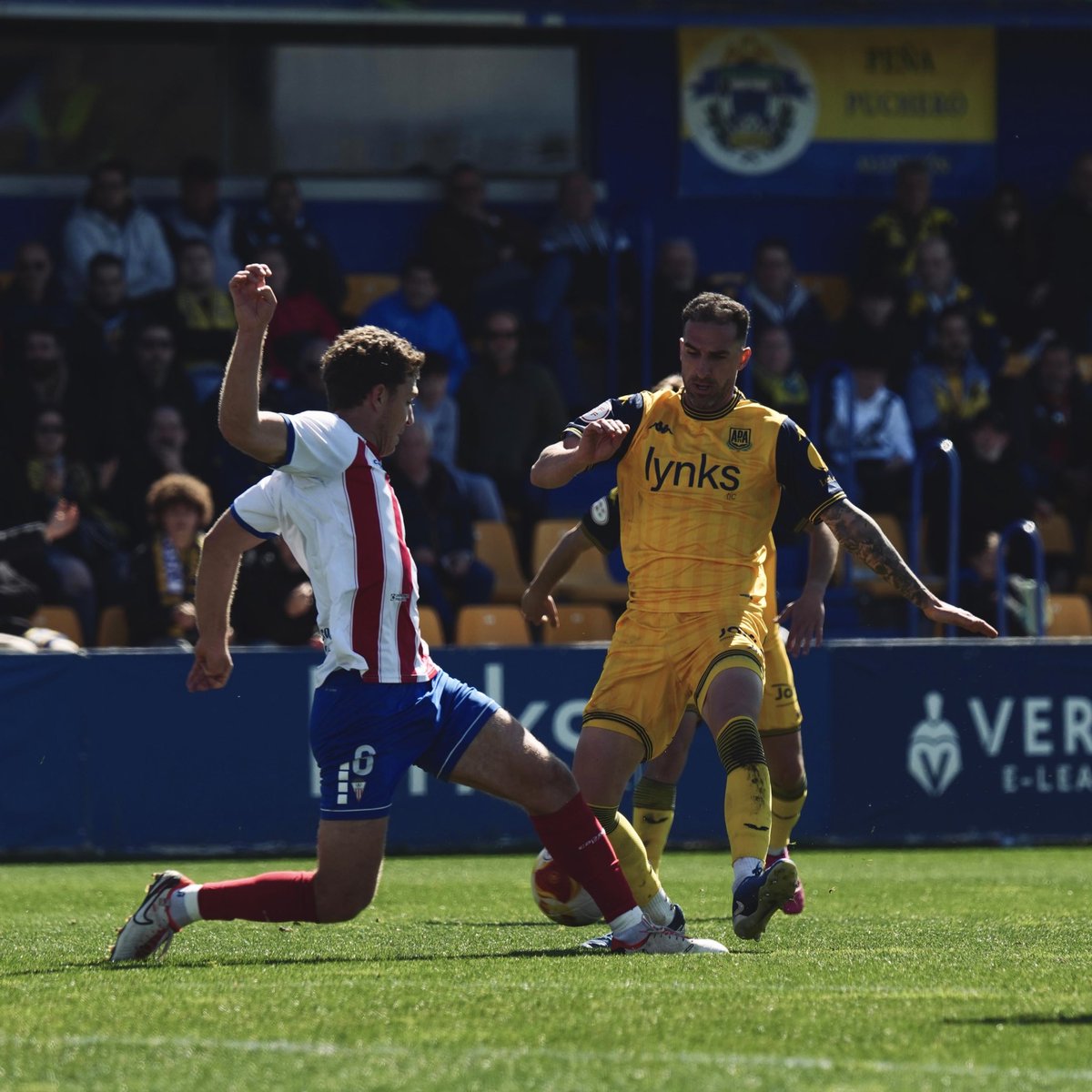 A.D. Alcorcón tweet media