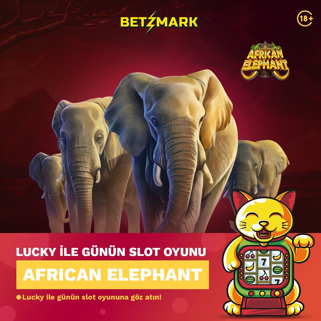 BetzmarkSocial's tweet photo. AFRICAN ELEPHANT İLE PAZAR GÜNÜNE ÖZEL KAZANÇ! ⚡💰

Vahşi doğanın derinliklerine in ve African Elephant slotunda yerini al.

Efsanevi çarpan fırsatlarını yakala, freespin şölenini yaşa!

casino dünyasında yüksek kazanç elde ederek kasanı katla! 🤑🚀

🔗 https://t.co/a26lqvrKQP https://t.co/YAaiorFbVS