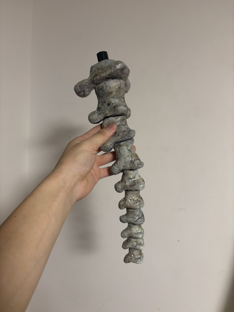 ざむ⚡️ tweet media